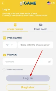 Click on Log in button
